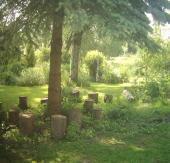 Sitzrunde unterm Baum